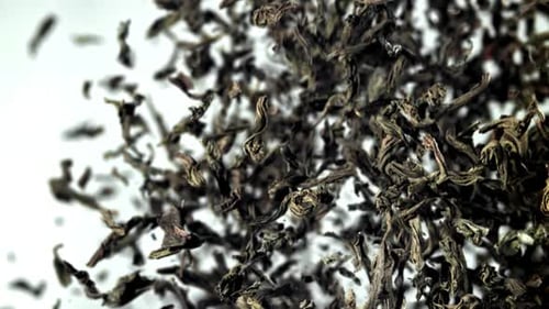 Dry Tea Flies Up and Down Filmed on a Highspeed Camera at 1000 Fps