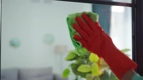 House Cleaning Young Woman in Protective Gloves Applies Detergent to Window and Wipes Off the Dust