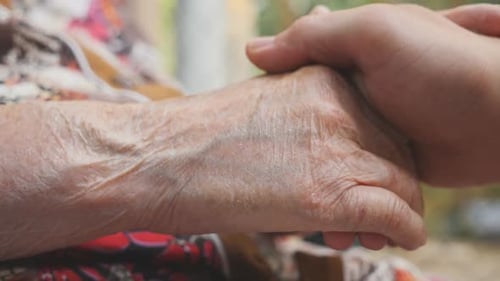 Close Up of Young Male and Wrinkled Hands Stroking Each Other Outdoor Family Spending Time Together