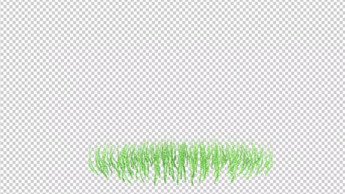 Fine Fescues Growing Transparent Background