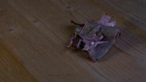 Small individual pieces of dry birch bark lie on a wooden table and rotate