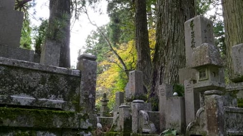 Ancient Cemetery With Lush Green Trees and Gravestones