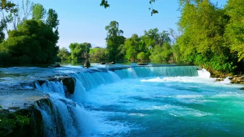 Natürliches Wasser, das zwischen Bäumen fließt