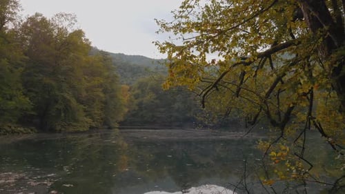 Wald und See
