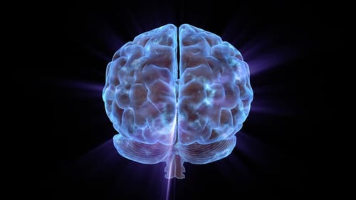 Animação 3D de cérebro brilhante | Visualização futurista de rede neural em fundo preto