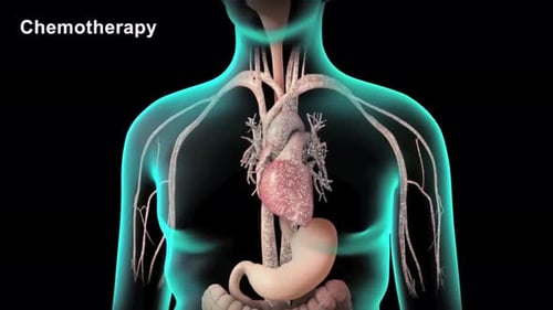 Human heart anatomy illustration with glowing blue outline