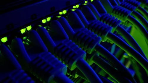 Macro Shot: Ethernet Data Cables Connected to Router Ports with Blinking Lights. Telecommunications