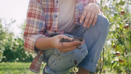 Unrecognizable gardener checking the soil quality . Shot with RED helium camera in 8K.
