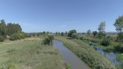 Spring landscape of the swamp in the forest.View of the green forest lake.Trees growing in green wat