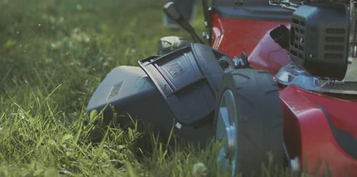 Lawn mower cutting green grass