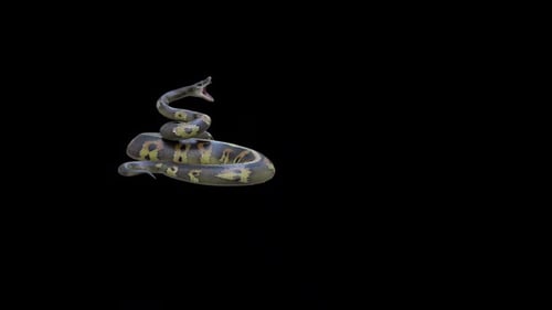 Ataque de serpiente pitón