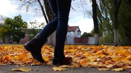 Legs of Young Woman Stepping on Yellow Foliage at Park Female Feet in Boots Going on Fallen Maple