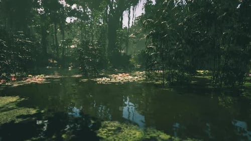 Lush Green Jungle Landscape with Tranquil Water Reflections in Vietnam