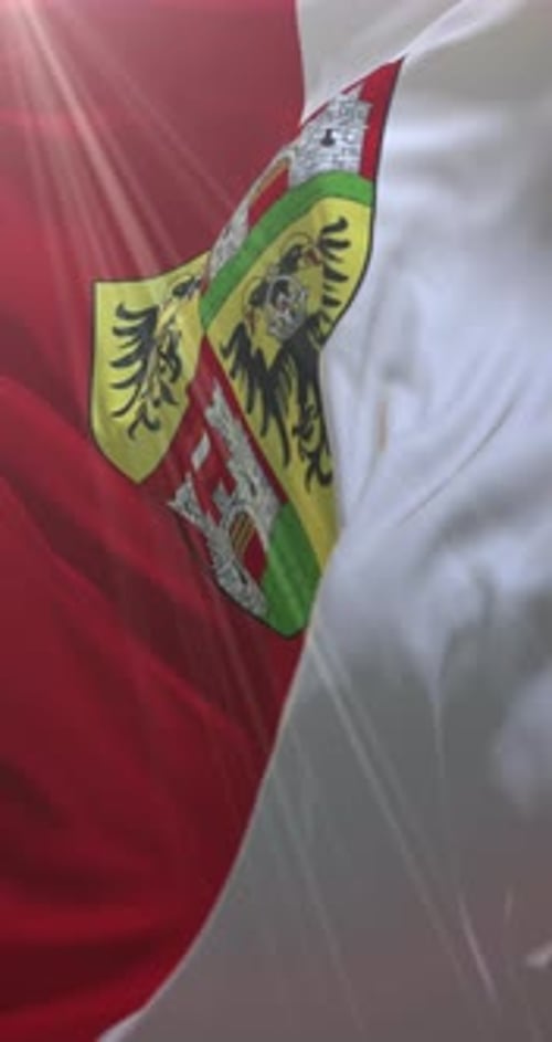 Vertical Waving Flag with Eagle and Castle Emblem