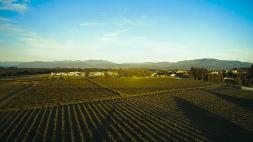 The outstretched fields of a farm in the late afternoon sun.