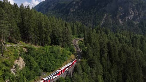 Red Train Traveling Through a Dense Mountain Forest Landscape