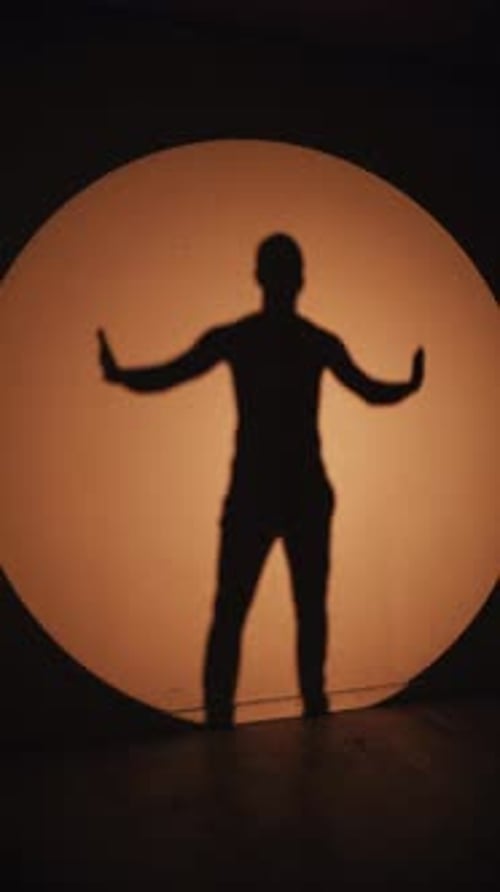 Silhouette of a Man Against Circular Light