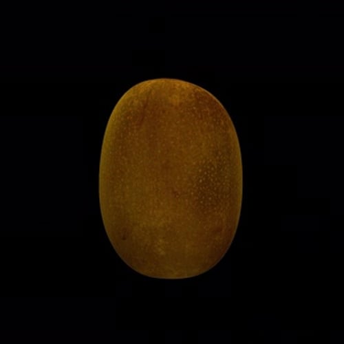 Rotating 3D Kiwi - Seamless Endless Loop in 4K