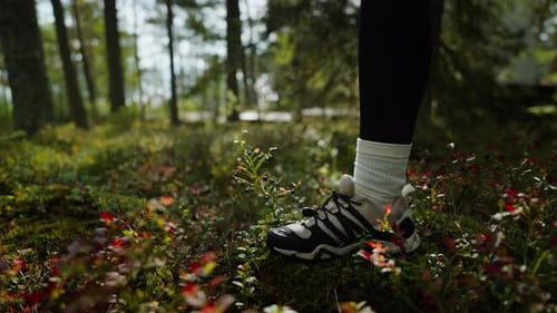 Legs Of Hiker In Forest Closeup View Of Feet In Sneakers Stepping On Ground With Bright Grass