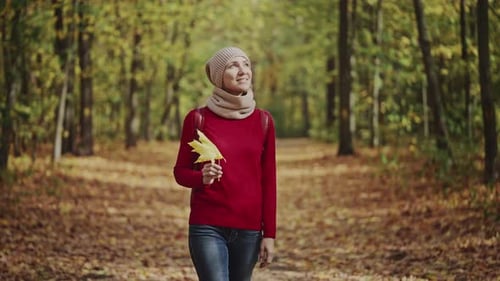 Portrait of a Young Woman Walking in a Vibrant Autumn Forest An Attractive Woman Dressed in a Red