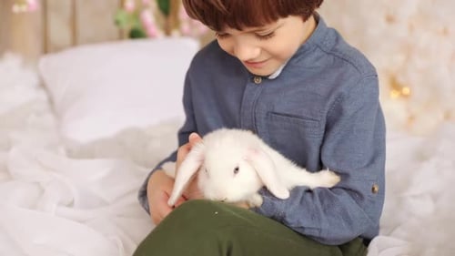 Smiling Child Gently Petting White Rabbit Indoors