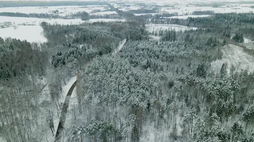 Panorama Of Tall Pine Woodland Between Road During Winter Near Pieszkowo Village, Poland. - Aerial D