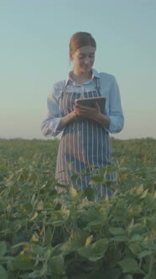 Female Farmer Examines Greenery with Device Caucasian Woman Farmer Assessing Crop Health Using