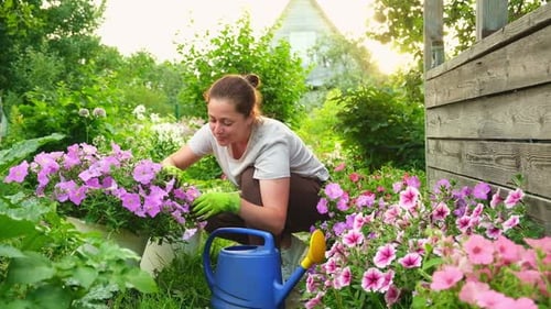 Gardening and Agriculture Concept Young Woman Farm Worker Gardening Flowers in Garden Gardener