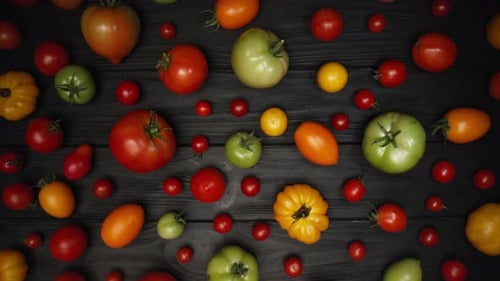 Top View Tomatoes Varieties on Black Wooden Surface Organic Vegetables Harvest