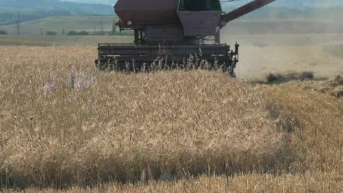 Combine Harvester Working in a Wheat Field