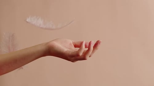 White Feathers Texture Hand Catching Soft Plumelets on Pink Background Closeup