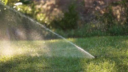 Sprinkler Irrigating Grass Lawn with Water in Summer Garden Watering Green Vegetation During Dry