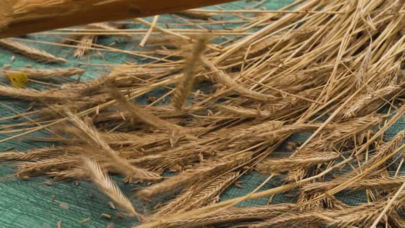 Slow motion close-up of 19th century threshing, People Stock Footage ft ...