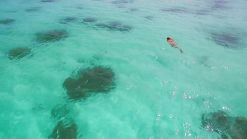 Aerial Drone Quadcopter of Young Woman Snorkeling,exploring Tropical Reef and Swimming