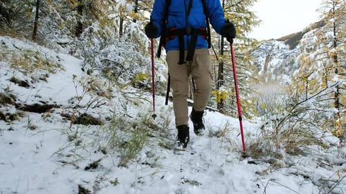 Hiker Walking in Winter Snowy Forest Tourist Man with Big Backpack Walking Along the Road in