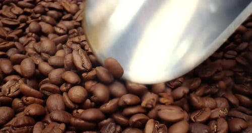 Close up of seeds of coffee. Fragrant coffee beans are roasted smoke comes from coffee beans.