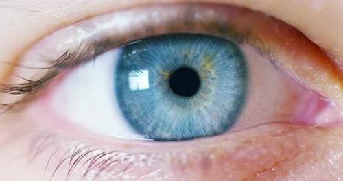 macro blue eye with dilated pupil. concept of clean and clear view of reality, approach and deep c