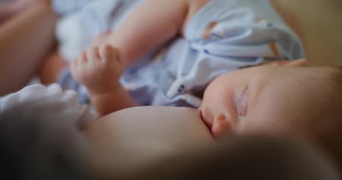 Newborn Infant Nursing Close Up in Natural Lighting