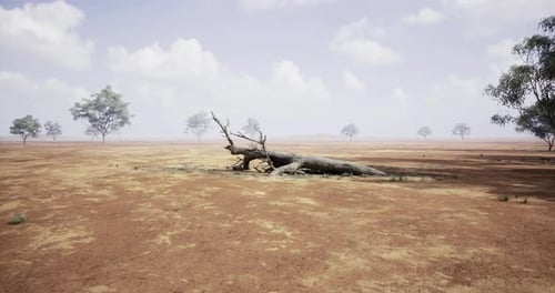 Dried Landscape with Fallen Tree Under a Cloudy Sky in Arid Region