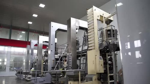 Gros plan d'une usine de gâteaux alimentaires sur une chaîne de montage, production automatisée de cookies sur un tapis roulant L