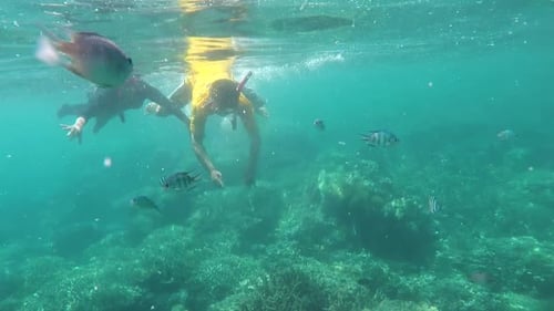 People Snorkeling in Tropical Ocean