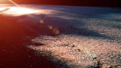 Sport Man Running at Asphalt Road Rural City Park Green Tree Forest and Sun Rays on Horizon