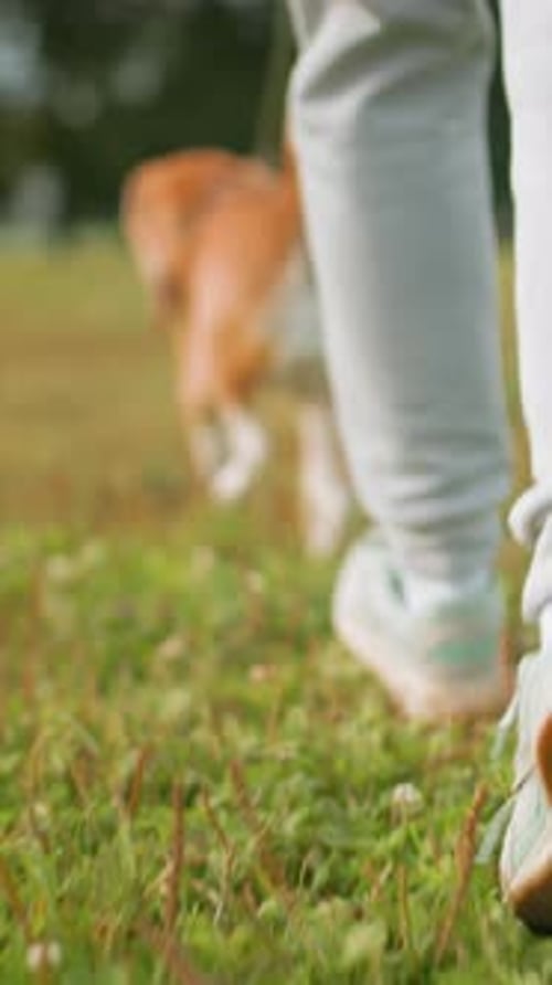 Athletic Shoes Walking on Grass with Dog