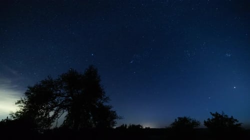 Night Sky Time-Lapse with Silhouetted Trees