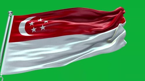 Waving Singapore Flag Animation on Green Screen