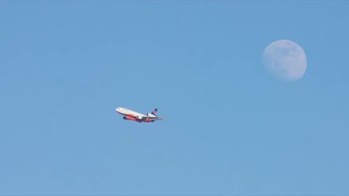 Los Angeles Fire Action Took Place in Malibu During January of 2025