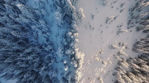 Top Down Cinematic Aerial View Winter Landscape Drone Shot Frozen Winter Forest