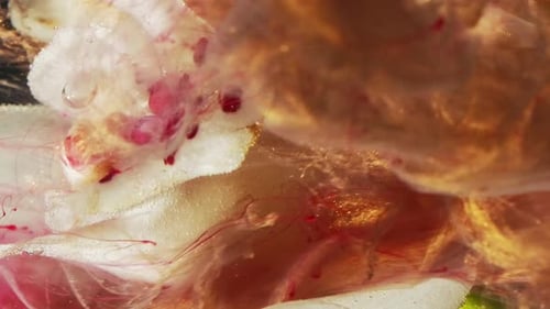 Elegant White Flower Submerged in Water with Red Fluid