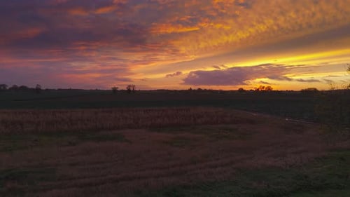 Atmospheric summer autumn sunset with waving wild grass in sunlight, rural meadow or field in