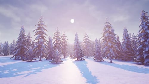 Winter Landscape